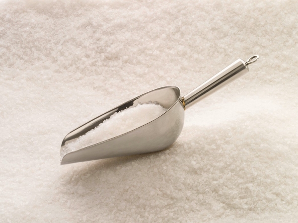 Pelle de soutirage inox 240 mm